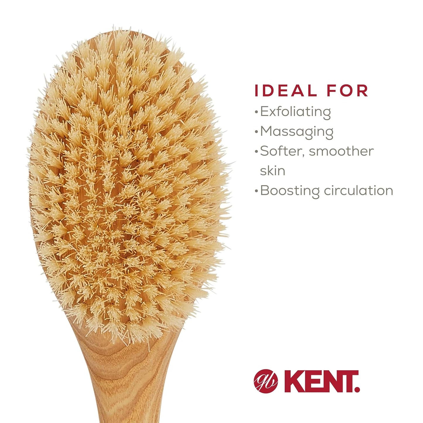 FD10 Ashwood Back Scrubber for Shower Bath Brush and Body Scrubber Exfoliator - Boar Bristle Shower Brush for Body for Men and Women -  Brush Back Scrubbers for Use in Shower Made in England