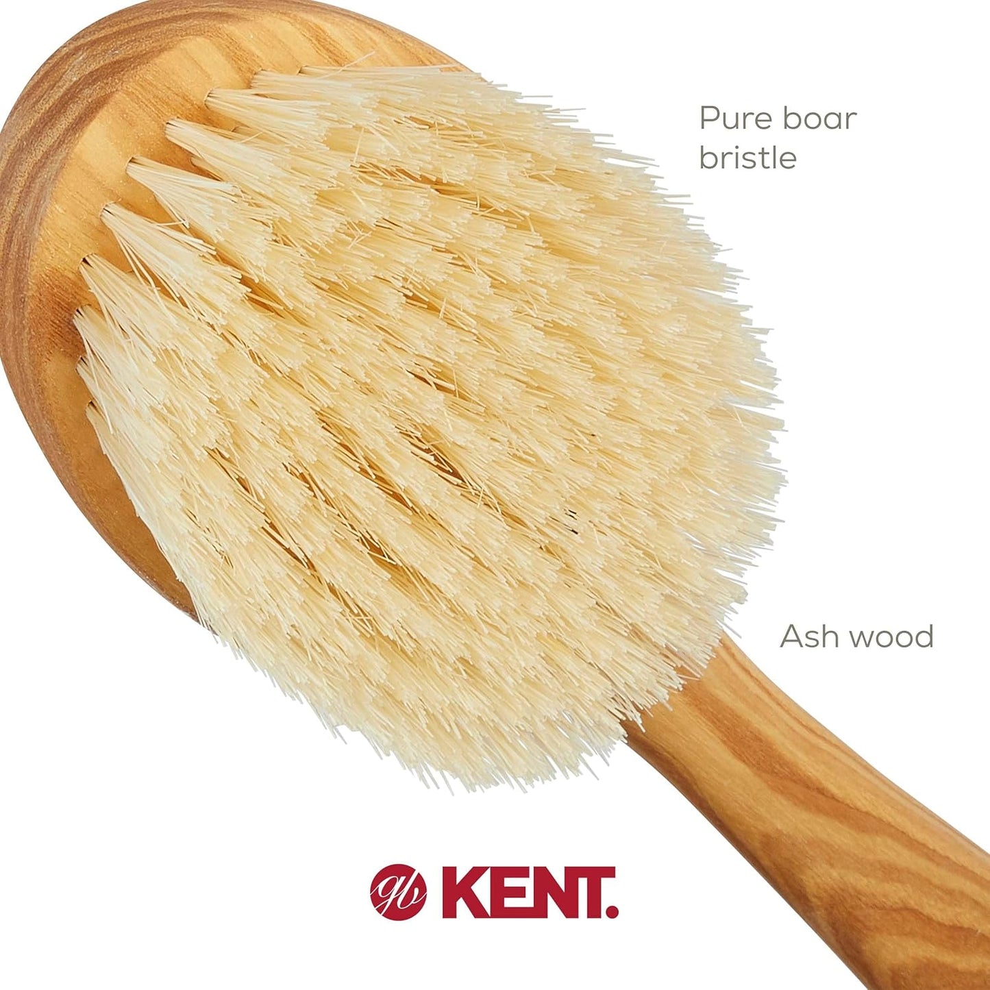 FD10 Ashwood Back Scrubber for Shower Bath Brush and Body Scrubber Exfoliator - Boar Bristle Shower Brush for Body for Men and Women -  Brush Back Scrubbers for Use in Shower Made in England